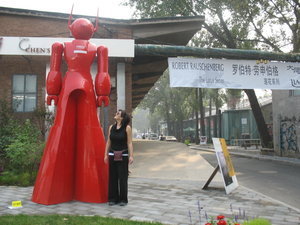 District 798- Red robot