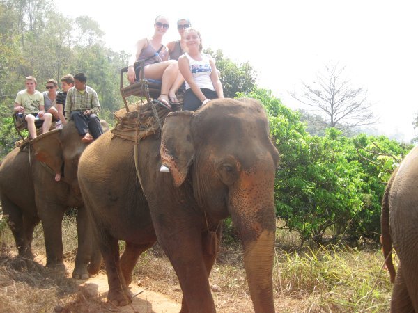Us on Elephant!