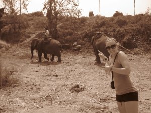 Jennie and elephants