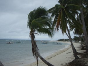 malapascua beach