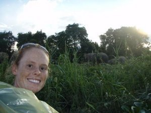 Megan with the elephants