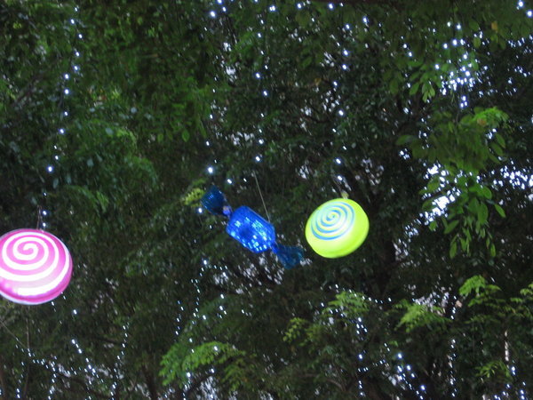 Sweets hanging from the Trees