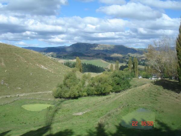 Green pastures of the South Island