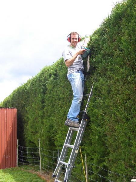 Hedge Trimming
