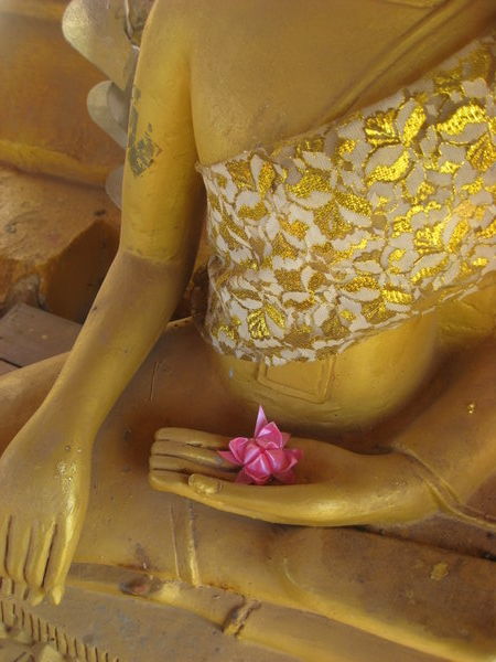 Buddha Lotus