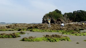 Taean Beach