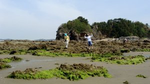 Taean Beach