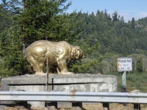 Golden bear state