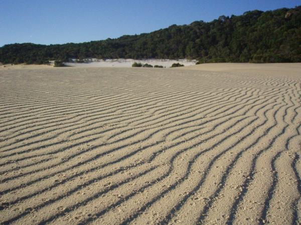 Sand dunes of Fraser Islands