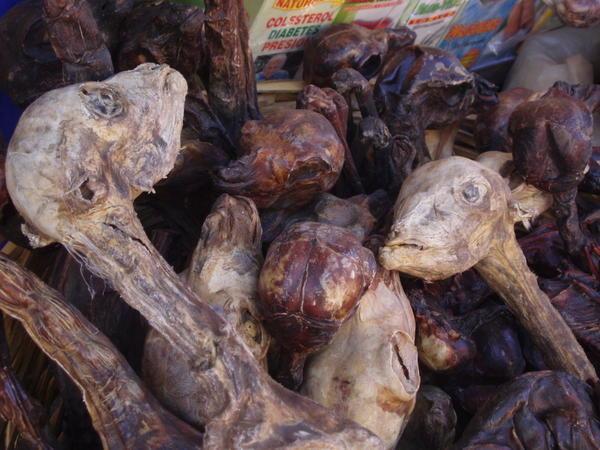 dried baby llamas at the witches market, La Paz