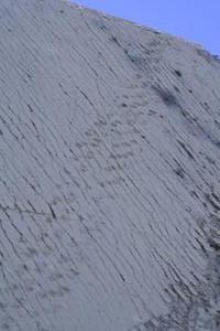 sucre dinosaur footprints