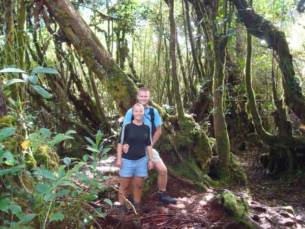 Vi gik i noget jungle der pludselig mindede om Fangorn Forest fra Ringenes Herre.