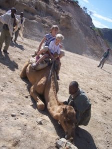 Camel Vs Rytas
