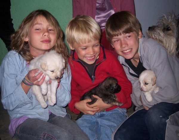 3 kids with 2 weeks puppies 2