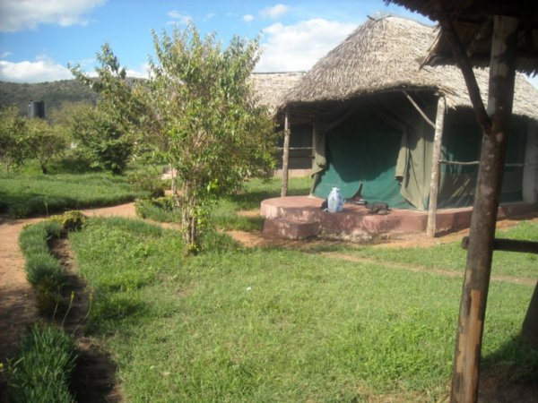 Masarai Mara Safari tent camp