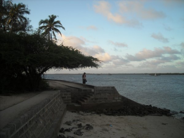 Kovas on Lamu beach