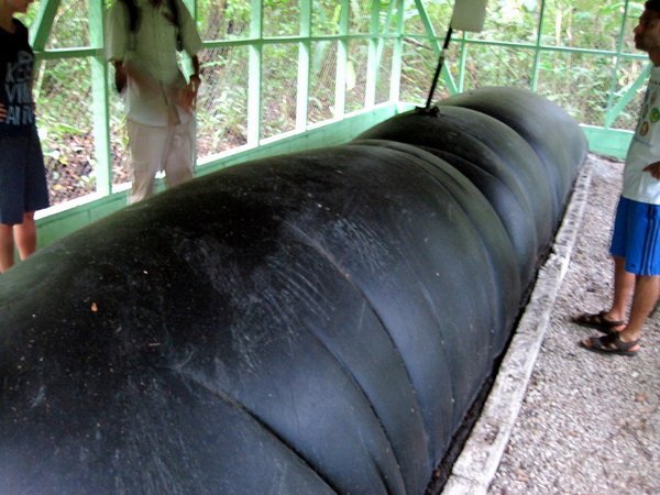 Methane created and contained under a plastic cover