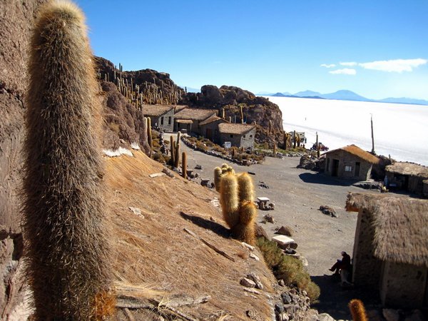 Buildings and cacti on Incahuasi