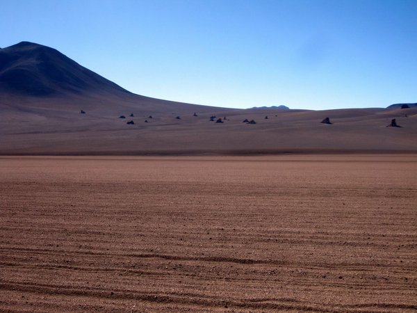Salvador Dali desert