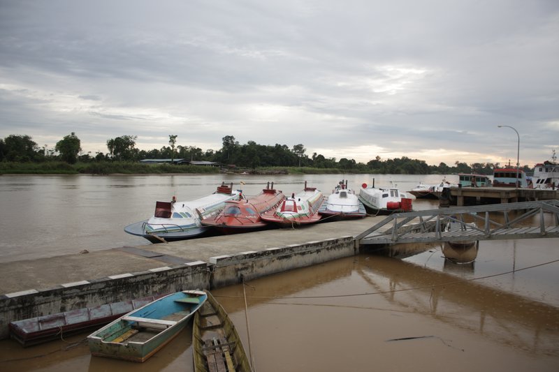 expressboats at Marudi