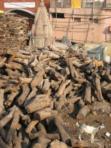 wood for burning bodies