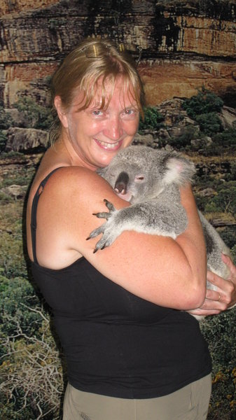 Koala cuddling