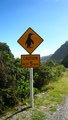 Beware - crossing Penguins.