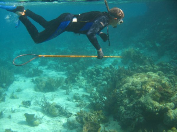 Jean à la chasse sous-marine avec l'hawaïan sling