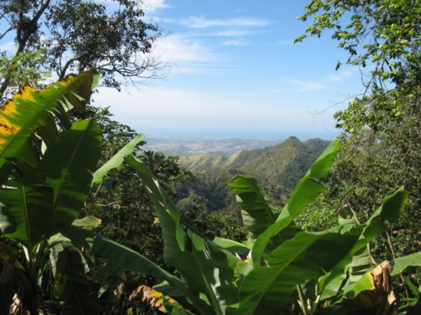 Des paysages verdoyants, Puerto Rico