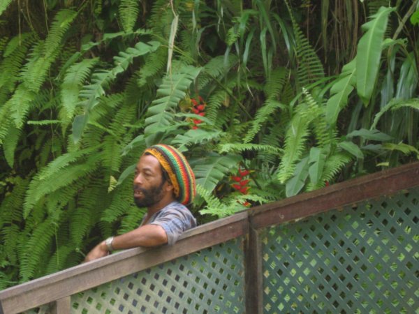 Le jardinier, la Soufrière, Sainte-Lucie