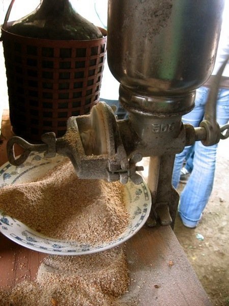 Wheat grinder
