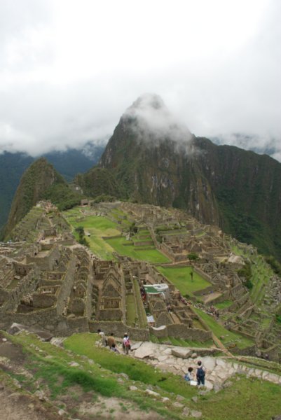 Machu Pichu (459)