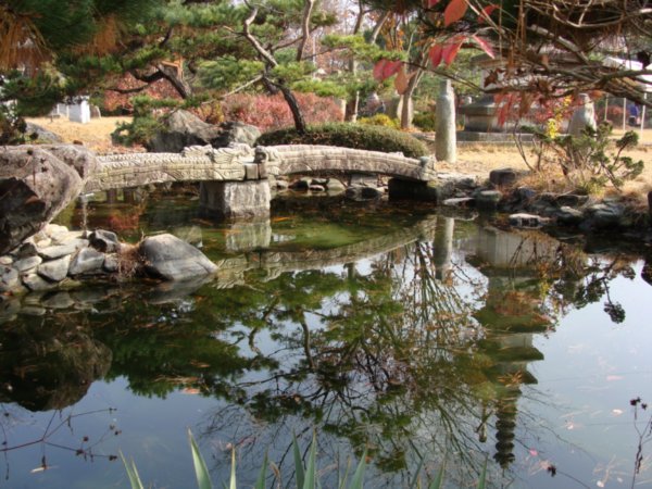 Fish pond, bridge, cool reflection
