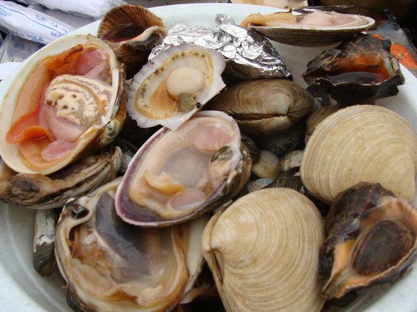 Grilled clams and sea mollusks