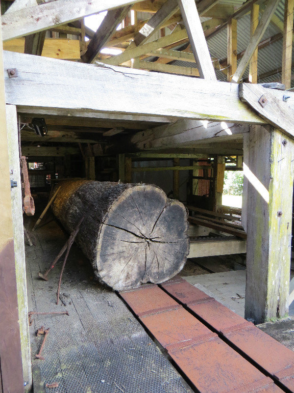 one of the huge logs in the sawmill