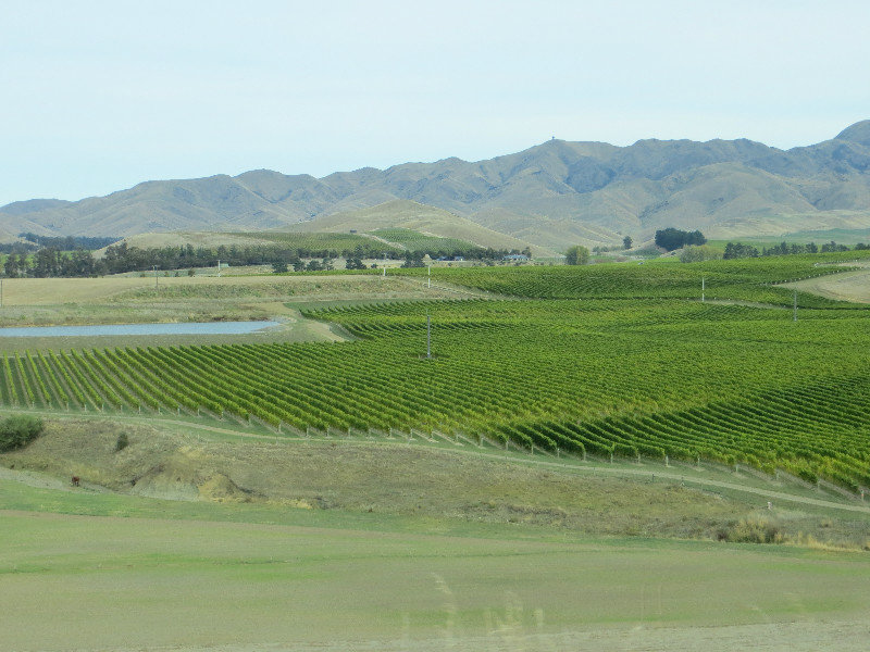 acres of vinyards