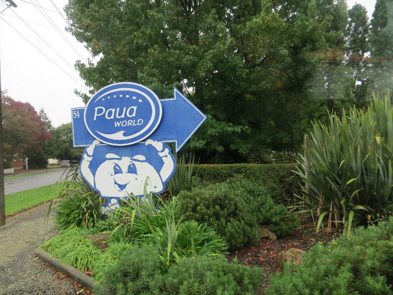 the Paua Factory