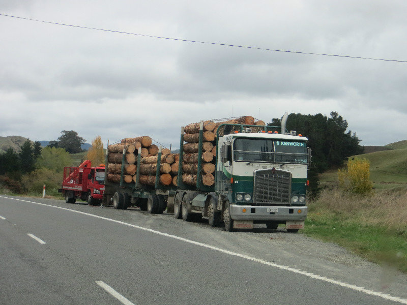 logging is a huge commodity here