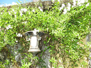 a lantern under the eaves