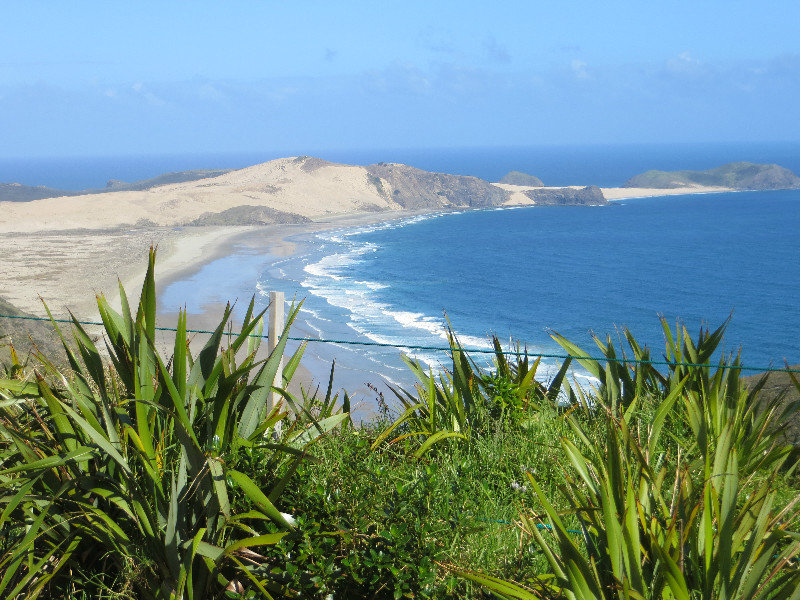 at the top of North Island - Cape Reinga
