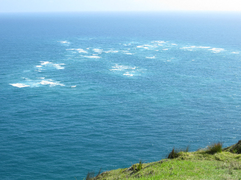 where the Tasman Sea and South Pacific Ocean meet
