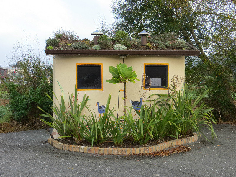unusual roof garden behind the toilets