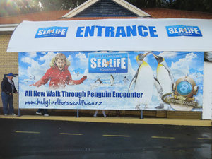 Kelly Tarlton's Sea Life Aquarium