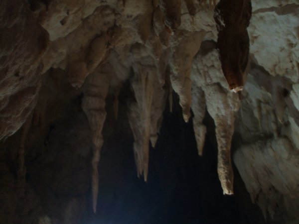 20 Ruakuri Cave 1