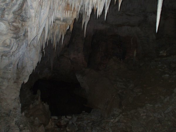 36 Ruakuri Cave 17