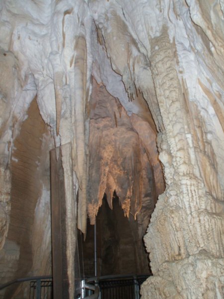 42 Ruakuri Cave 23