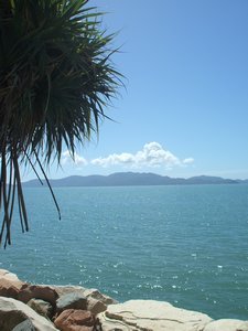 Airlie Beach  to Cairns Aug 09 005