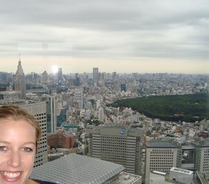View of Tokyo from the South Tower