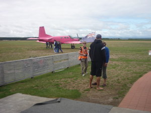 The pink plane