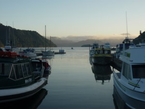 Early morning Picton